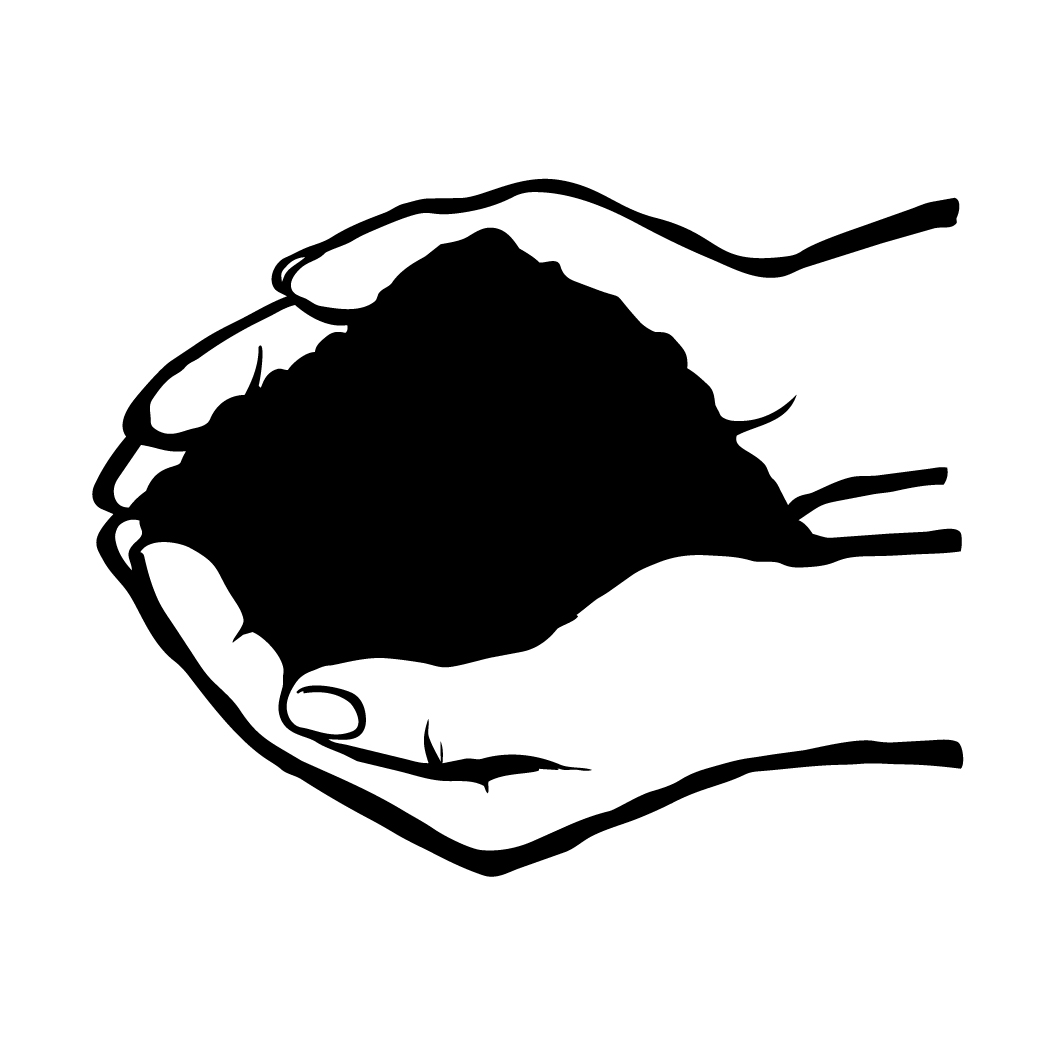 श्रम संस्कृति पार्टी