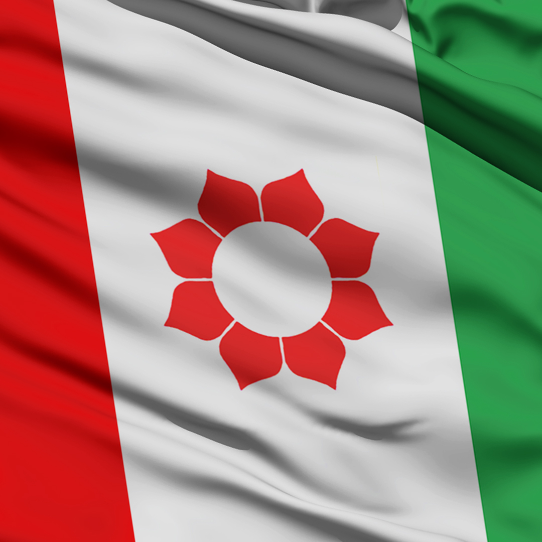 जनमत पार्टीको घोषणा पत्र